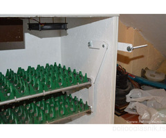 Poluautomatski inkubator za 180 jaja