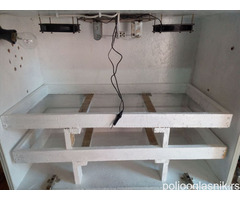 Poluautomatski inkubator za 180 jaja
