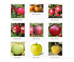 Sadnice voća za jesenju sadnju - Rezervacije u toku!
