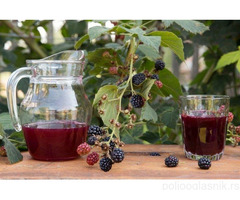 Matični sok od KUPINE - Antikancerogeno dejstvo (100% voće)