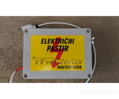 Elektricni pastir cobanica