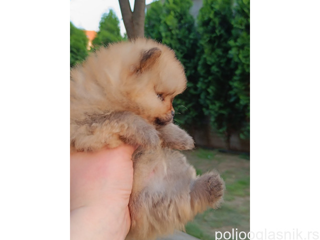 Slika 4 / 5