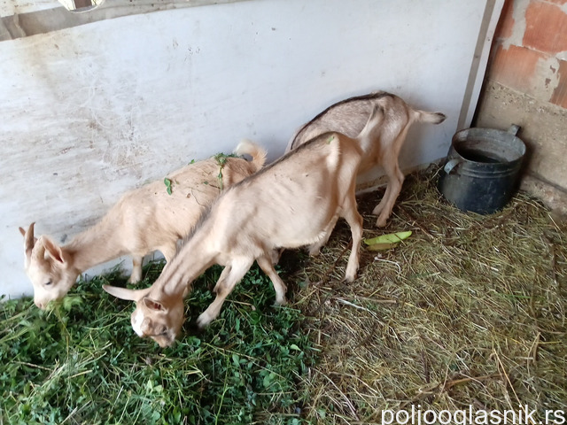 Slika 1 / 3