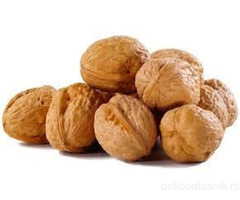 Vocne sadnice od proizvodjaca