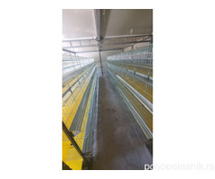 Kavezi za koke, pilice i zeceve