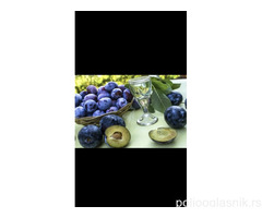 Prodajem rakiju od sljive