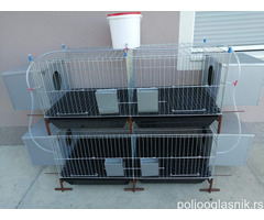 Kavezi za koke, pilice i zeceve