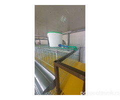 Kavezi za koke, pilice i zeceve