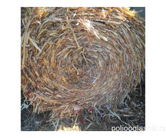 rolo bala kukuruzovina