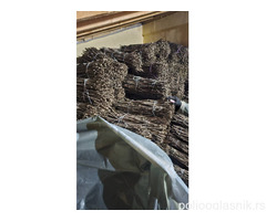 NA PRODAJU: Isečena Loza 1 KLASE za Kalemljenje (Kober BB)