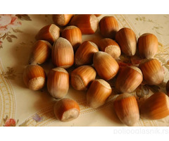 Kvalitetne sertifikovane vocne sadnice iz Rasadnika Antic