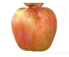 Kvalitetne sertifikovane vocne sadnice iz Rasadnika Antic