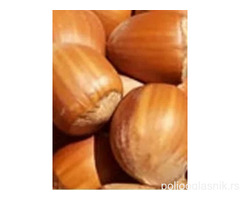 Rezervacije u toku za sadnju voćnih sadnica