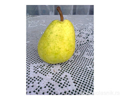 Vocne sadnice od proizvodjaca-akcija!