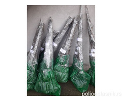 Vocne sadnice od proizvodjaca-akcija!