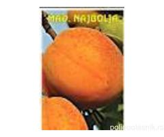 Vocne sadnice od proizvodjaca-akcija!