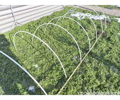 PVC cevi za plastenike