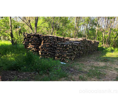 Prodajem ogrevno drvo (bagrem) 140 m3