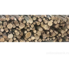 Prodajem ogrevno drvo (bagrem) 140 m3