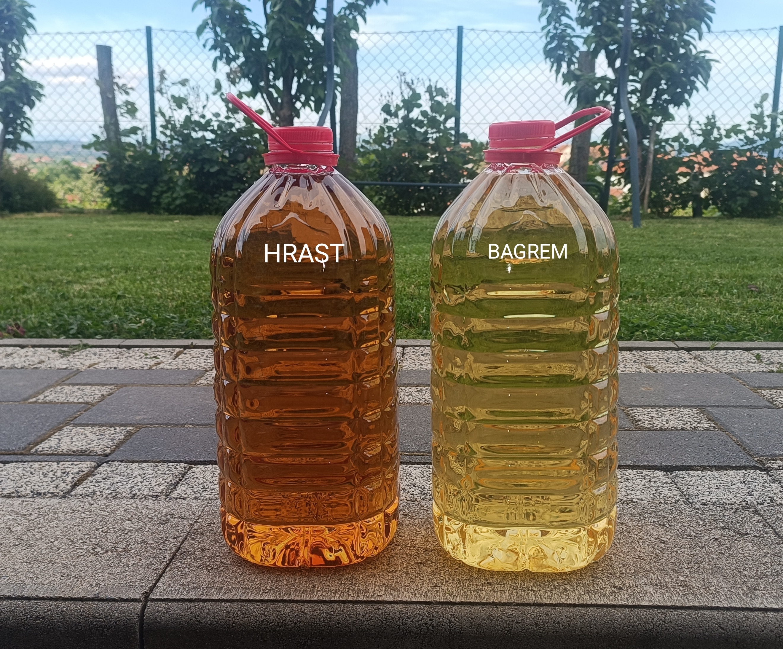 Domaća rakija prepečenica