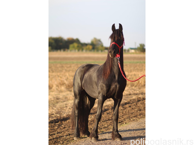 Slika 2 / 5