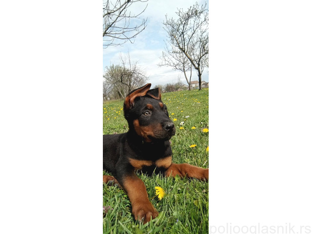 Slika 5 / 5