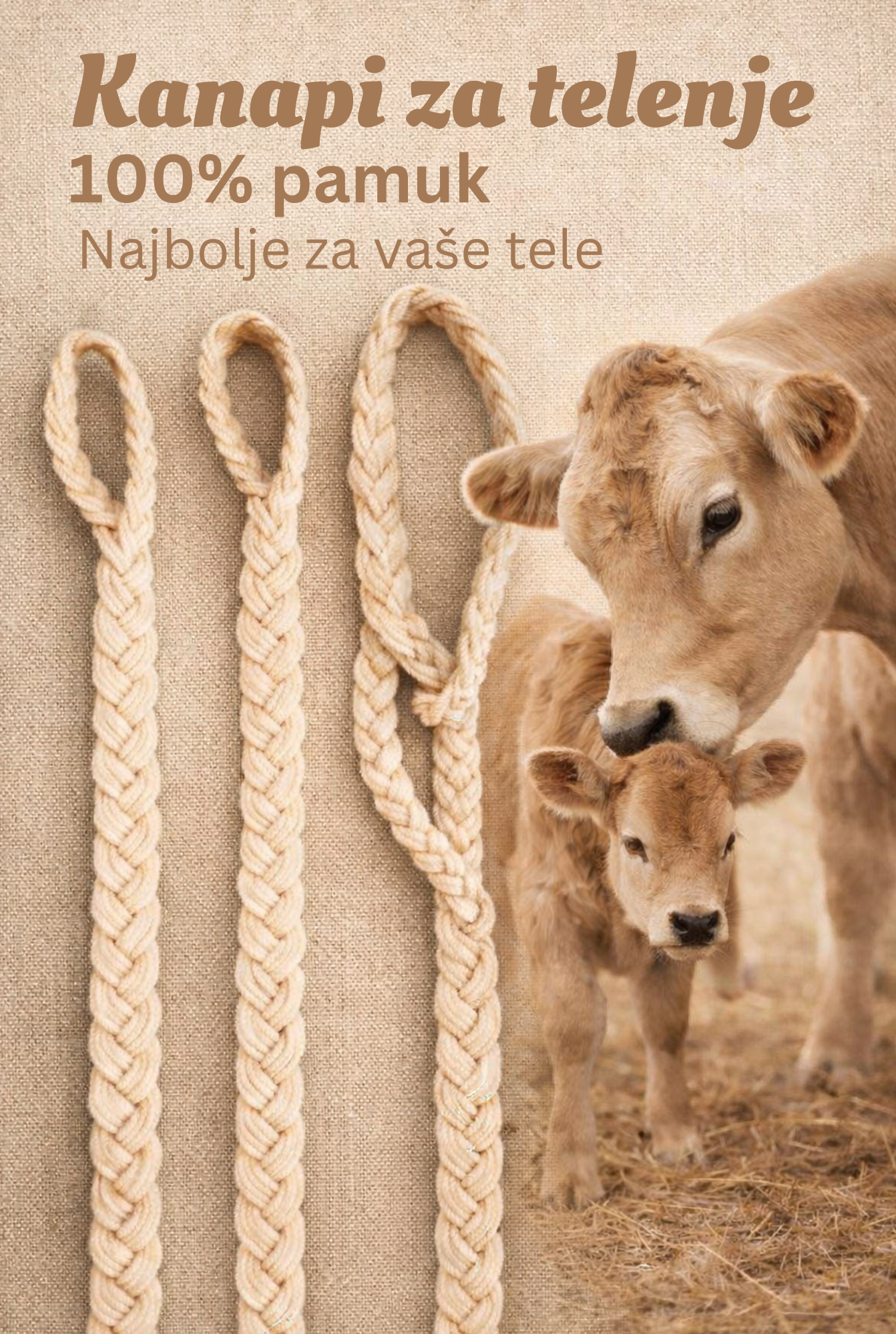Kannapi za telenje-komplet